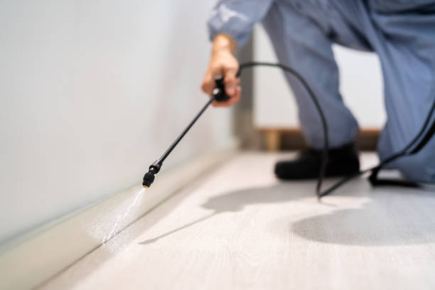 Licensed Mosquito Control service in Fairlea, WV - Show Me Pest Control