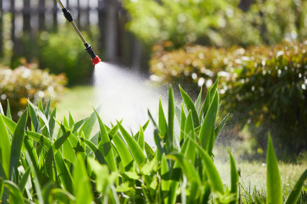 24/7 Emergency Mosquito Control experts in Fairlea, WV