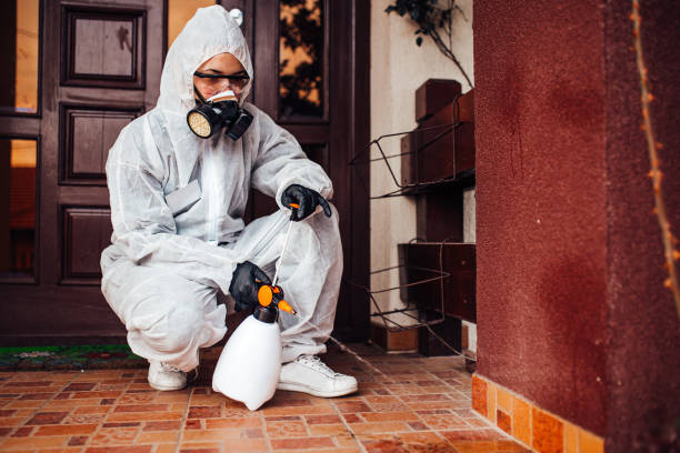Reliable Mosquito Control contractor in Fairlea, WV by Show Me Pest Control