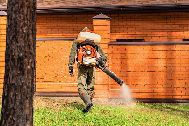 Top rated local Mosquito Control specialists in Fairlea, WV
